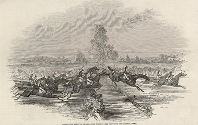 Worchester Steeple Chase: The Water Leap opposite the Grand Stand, from 